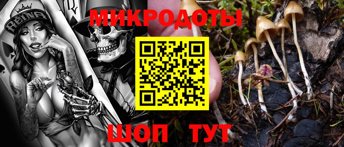 Псилоцибиновые грибы GOLDEN TEACHER Назрань