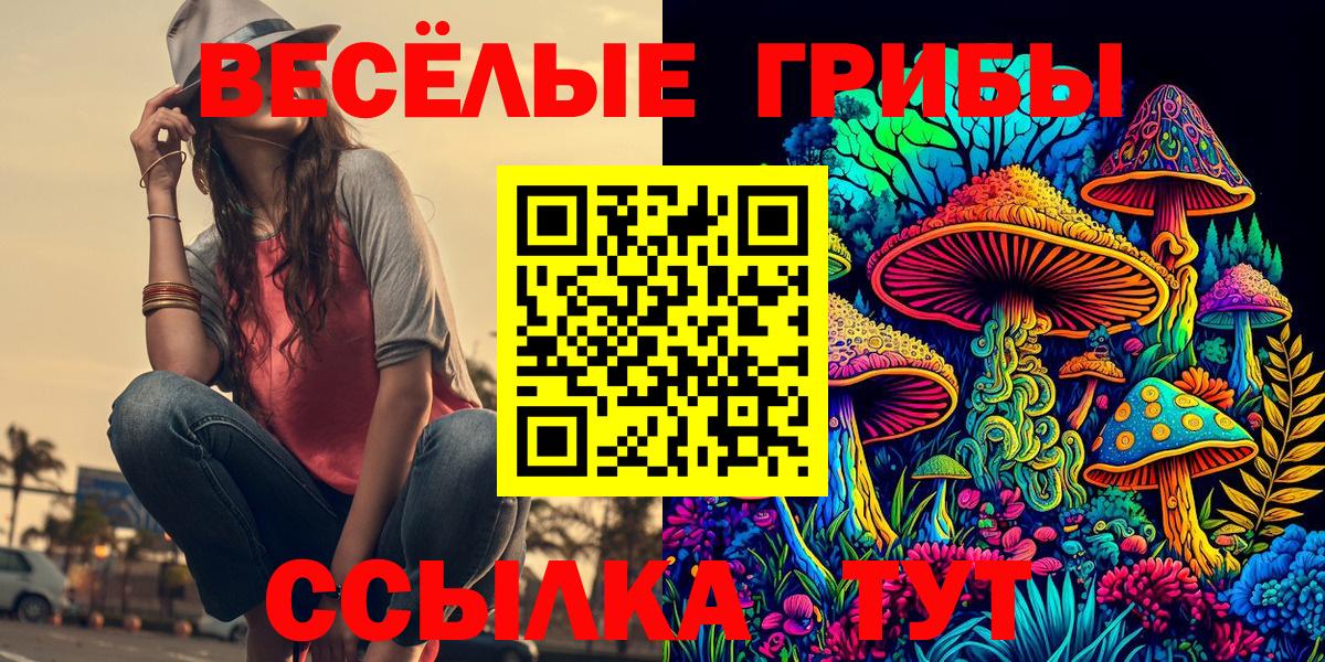 Псилоцибиновые грибы ЛСД  Галлюциногенные грибы мухоморы  Вход с VPN  купить   Назрань 