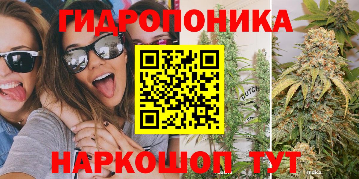 Бошки Шишки Amnesia  МАРИХУАНА сатива  Вход с VPN  Назрань 